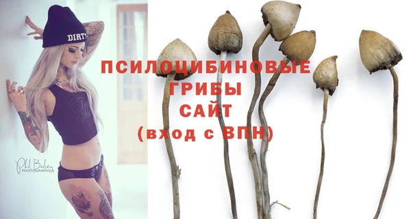 прущая мука Осинники